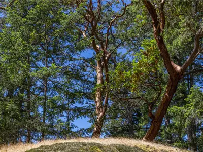 View 26
