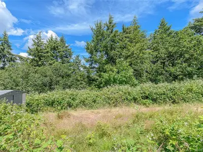 View 39