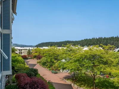 View 27