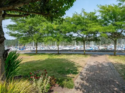 View 31