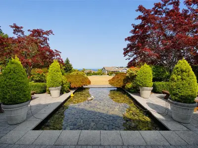 View 21