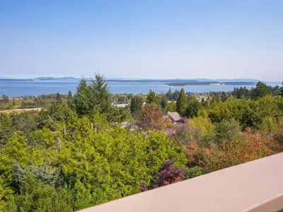 View 40