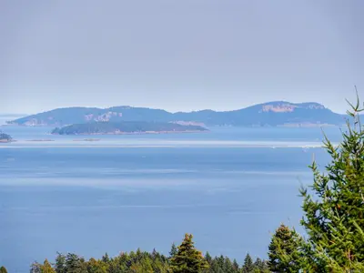 View 39