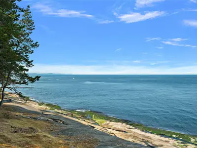 View 50