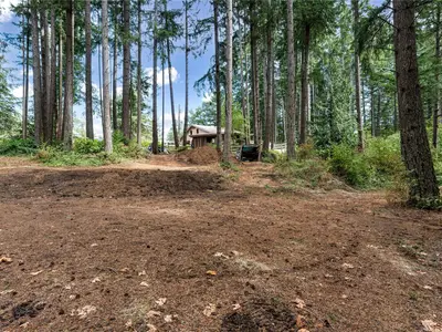 View 61