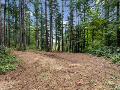 View 60