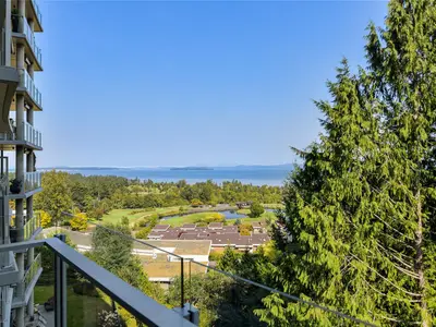 View 24