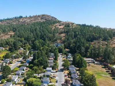View 56