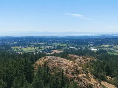 View 57