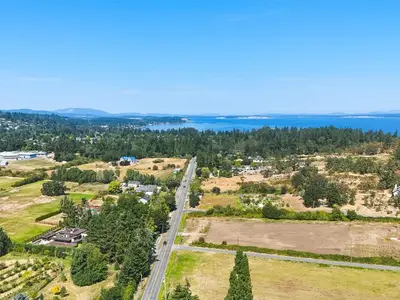 View 55