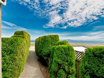 View 31