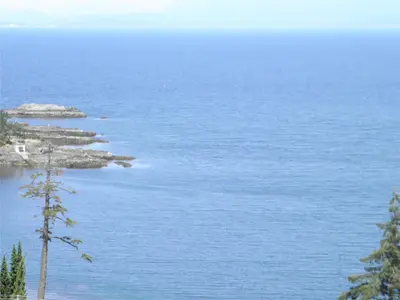 View 10