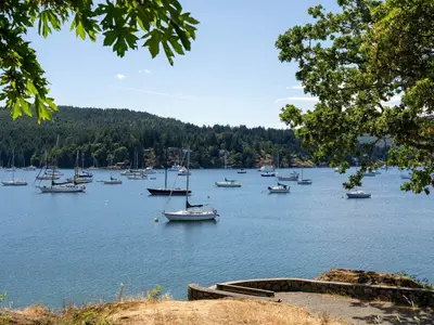 View 25
