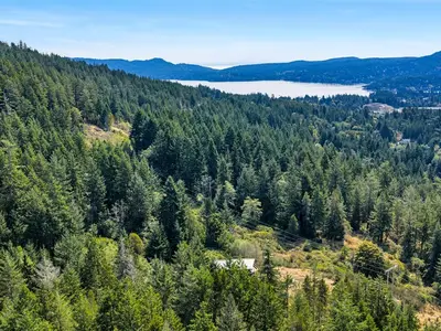 View 14