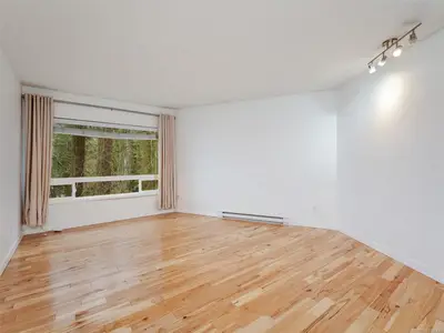 View 15