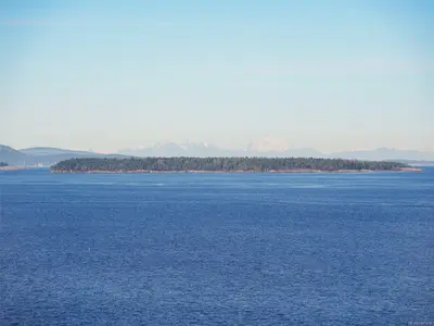 View 38