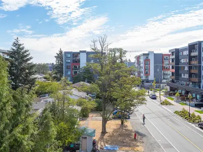 View 29