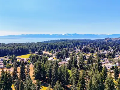 View 38