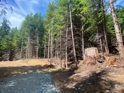 View 7
