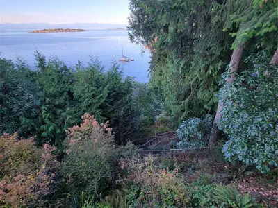 View 17