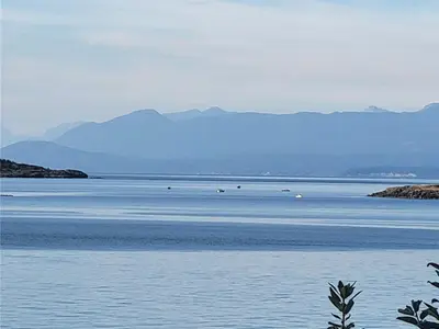 View 18