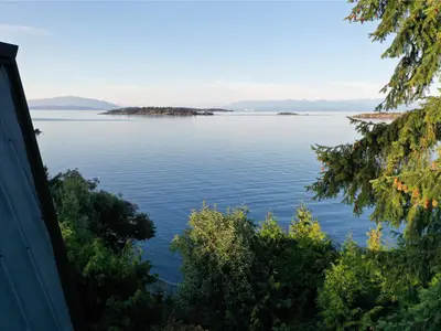 View 15