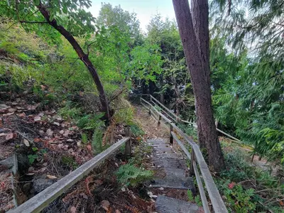 View 19