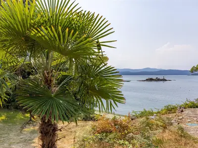 View 38