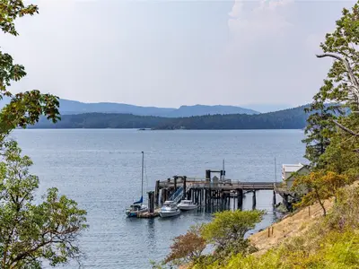 View 41