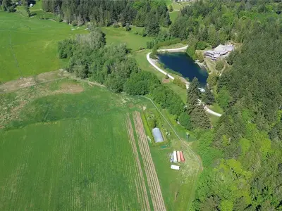 View 79