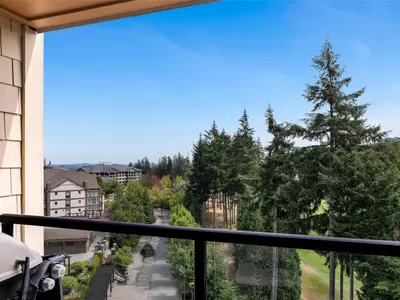 View 13