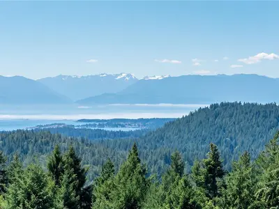 View 3