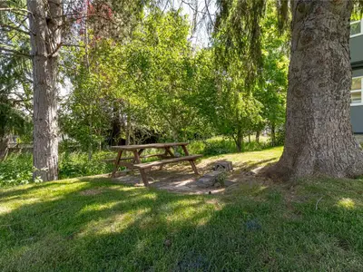 View 24