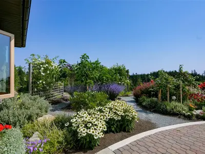 View 13