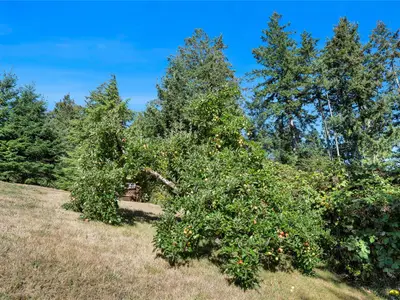 View 52