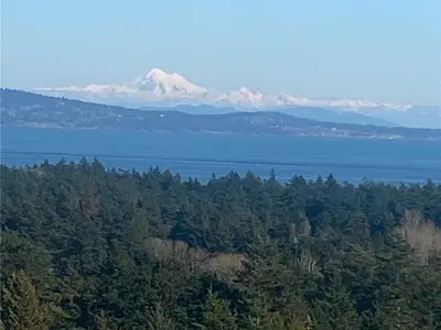 View 74