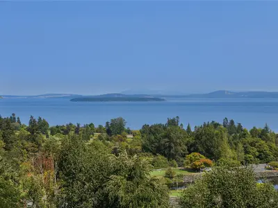 View 71