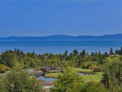 View 51
