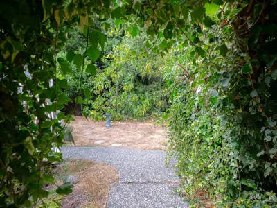 View 30