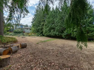 View 33