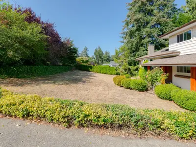View 35