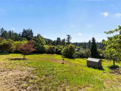 View 37