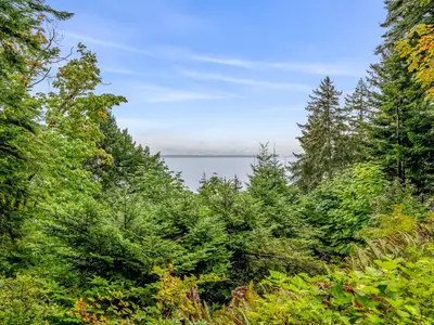 View 79