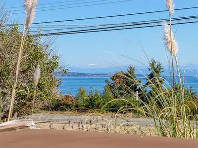 View 46