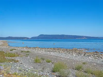 View 53