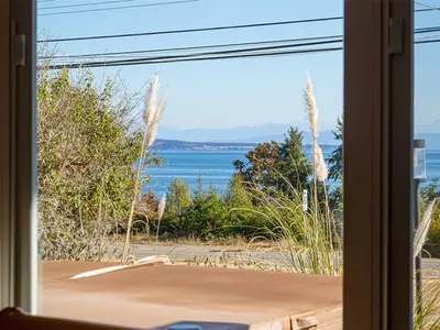 View 24