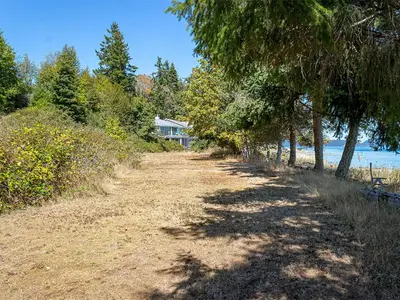 View 50