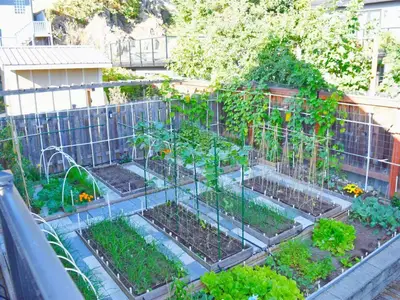 View 27