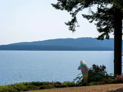 View 56