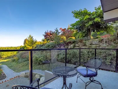 View 49